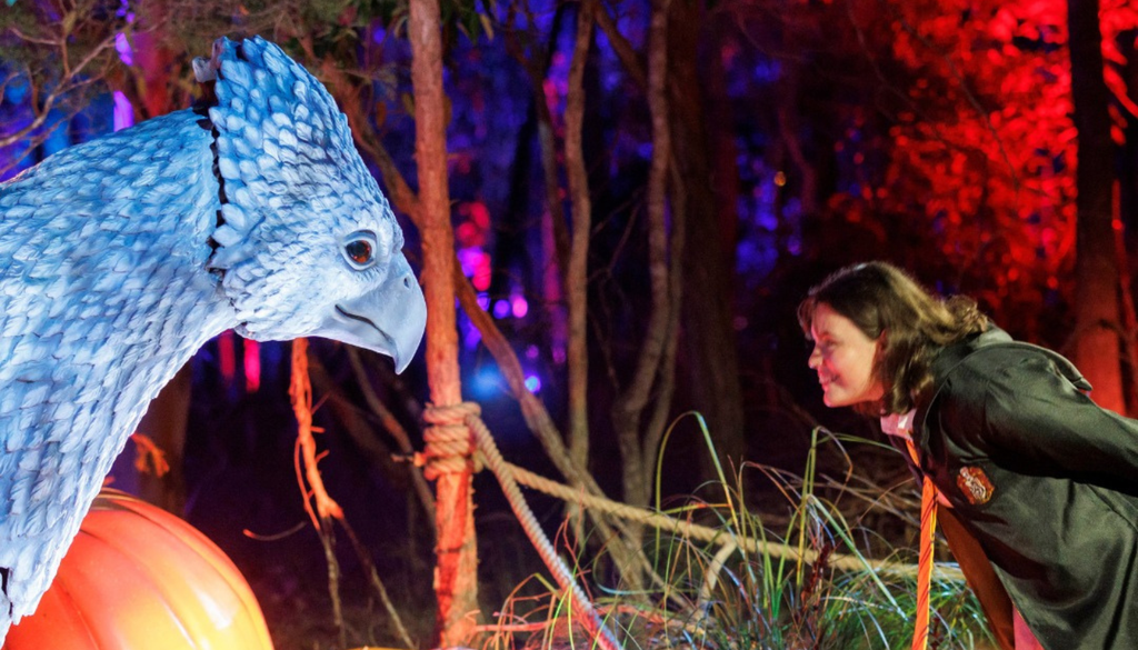 La Experiencia del Bosque Prohibido invita a sentirse en el mundo mágico de Harry Potter. Crédito: @hpforbiddenforestexperience.