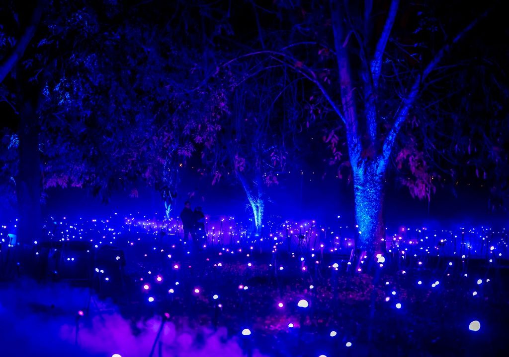 Light Cycles en el Parque Metropolitano. Light Cycles en el Parque Metropolitano.