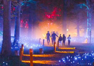 Qué hacer en Santiago este fin de semana: los mejores panoramas del 9 al 11 de mayo