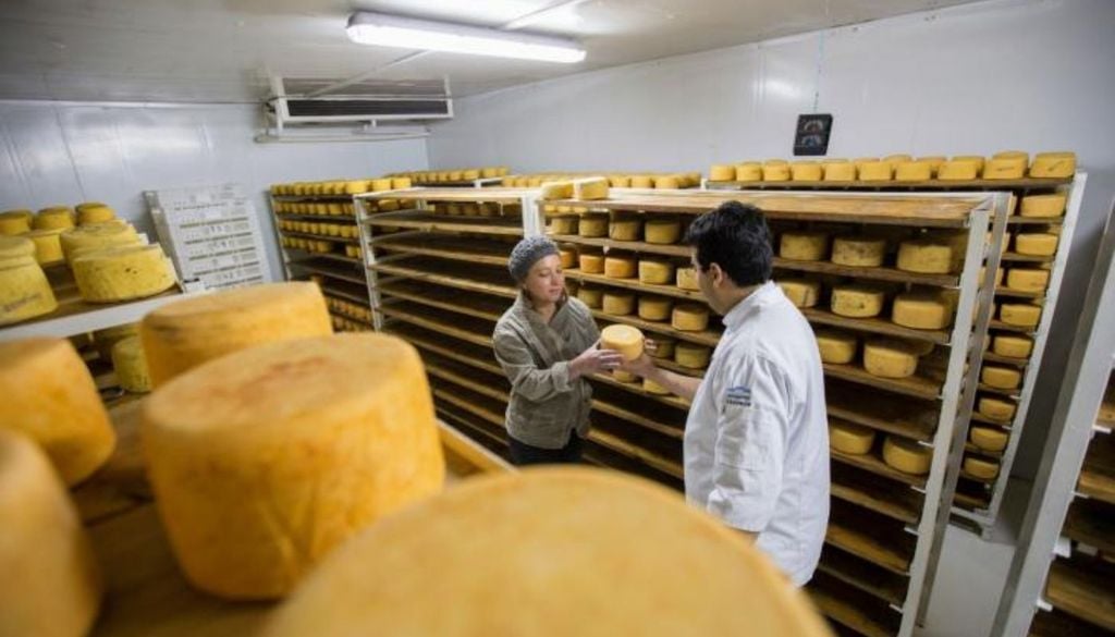 Tafí del Valle El queso de Tafí del Valle obtuvo a principios de 2026 la Indicación Geográfica, un reconocimiento como emblema turístico e identitario propio de Tucumán.