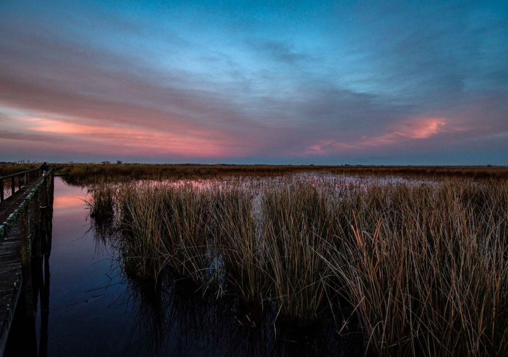 cómo llegar al Parque Nacional Ciervo de los Pantanos cómo llegar al Parque Nacional Ciervo de los Pantanos