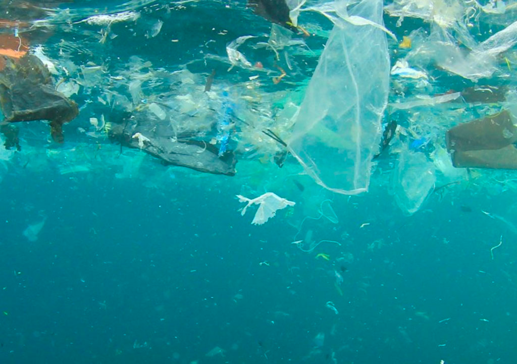 contaminacion marina; oceano; ecosistema marino; preservacion; limpieza