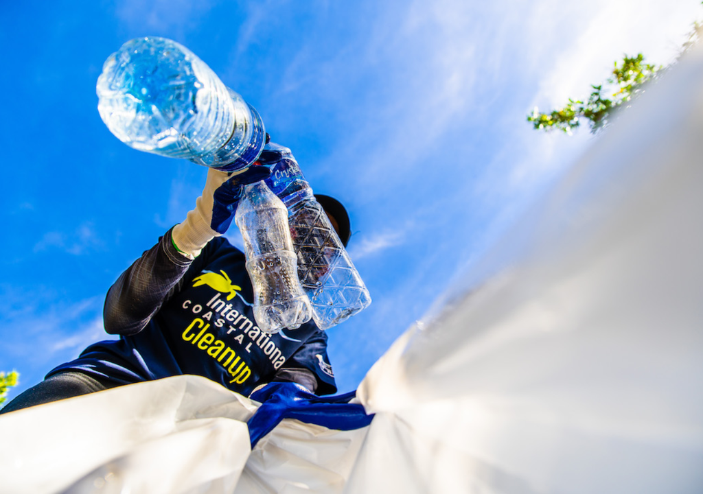 playa; limpieza; plasticos; contaminacion; ecosistema marino; preservacion costera; costa