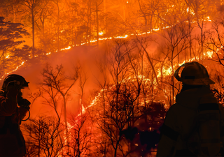 ¿Qué hay detrás de la oleada de incendios en España? Lo que esconden los fuegos de Zamora, Madrid o Cádiz