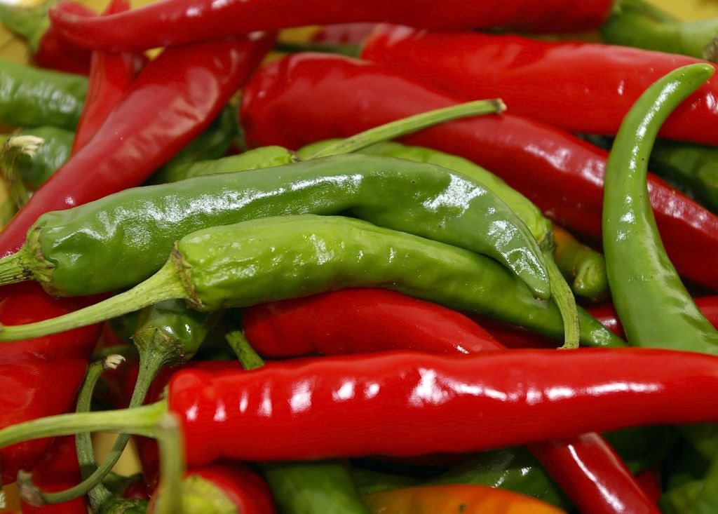 Los chiles y condimentos de la birria son importantes para esconder el olor y sabor de la carne de chivo.