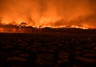 Incendios forestales marcan récords en Sudamérica