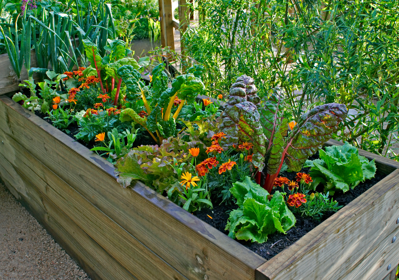 Huerto De Frutas Y Verduras