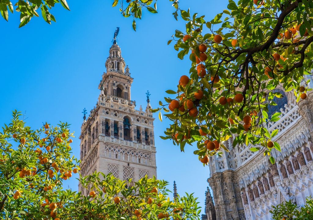 Naranjos en Sevilla