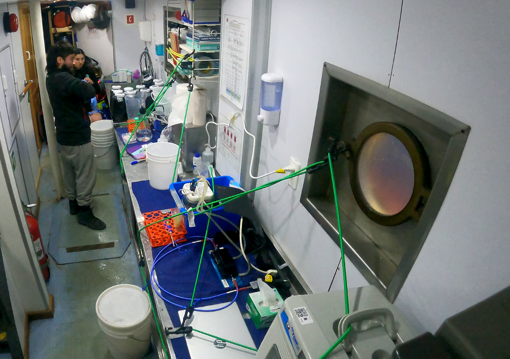 Camila Marín y Javier Babbonney, ambos oceanógrafos. Parte del equipo de la PUCV en Antártica. Imagen: Juan Höfer.