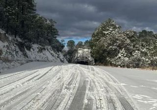 Gélidas condiciones hacen que se presente copiosa nevada en el Norte de México