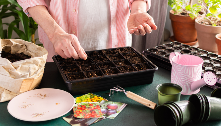 Qu&eacute; sembrar en abril en tu huerto urbano para aprovechar la primavera al m&aacute;ximo