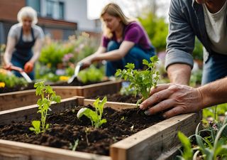 Qué sembrar en agosto en el huerto chileno: cultivos de invierno y aromáticas que aún puedes plantar 