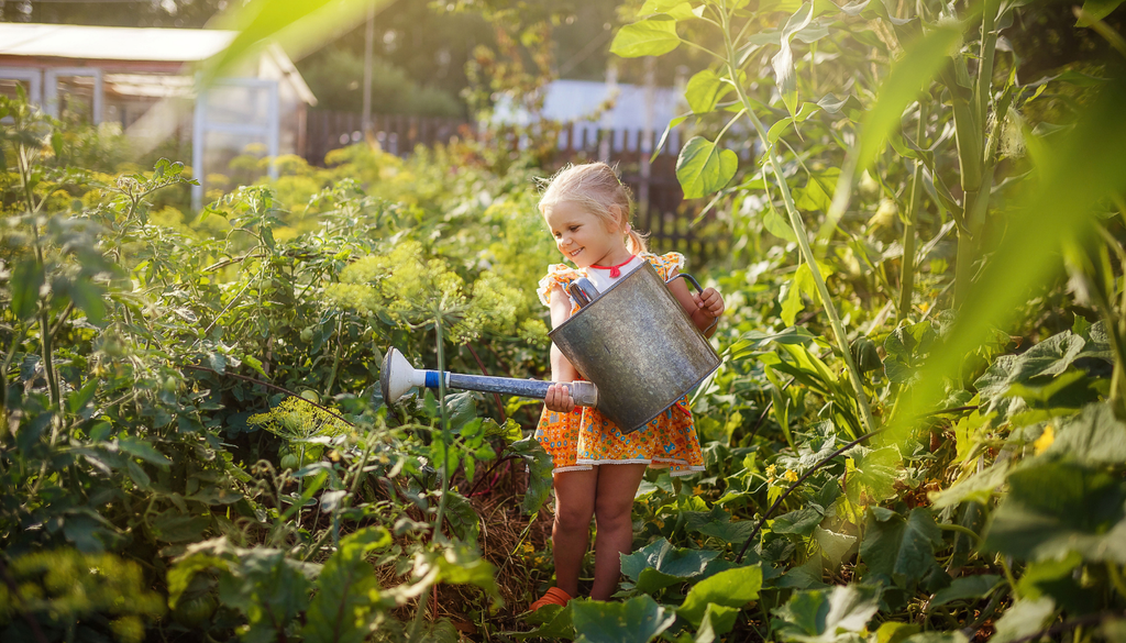 Un huerto también puede ser una gran forma de aprender en familia: observar, regar y cosechar ayuda a entender de cerca cómo crecen nuestros alimentos. Un huerto también puede ser una gran forma de aprender en familia: observar, regar y cosechar ayuda a entender de cerca cómo crecen nuestros alimentos.