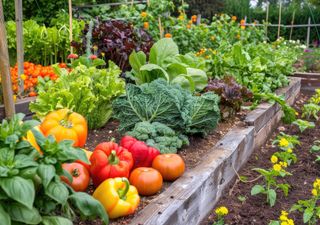 Qué sembrar en septiembre en el huerto chileno: frutas, verduras y hierbas que anuncian la primavera 