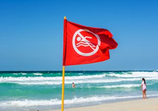¿Qué significan realmente los colores de las banderas en la playa?