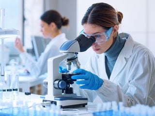¿Qué es y para qué sirve la Paleoecología?