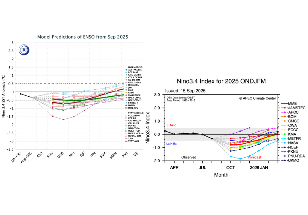 Pluma de pronóstico