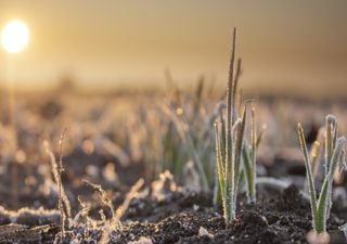 Que tempo fará no primeiro fim de semana da primavera em Portugal?