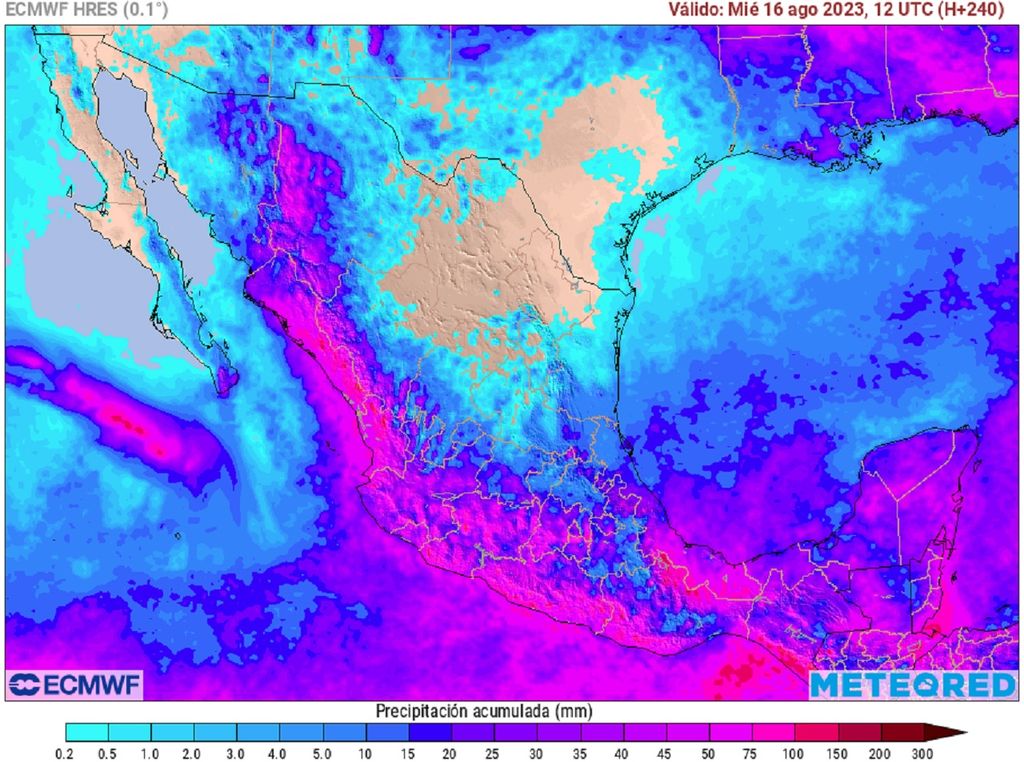 Modelo ECMWF - Acumulado de lluvias en milímetros