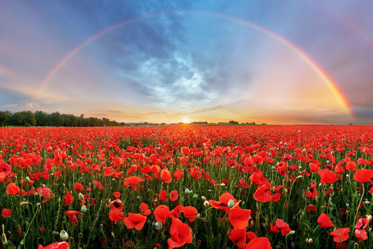 ¿Qué tiempo nos espera esta primavera según la AEMET?