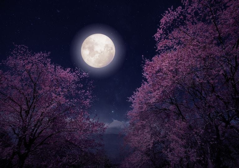 Superluna rosa Superluna rosa
