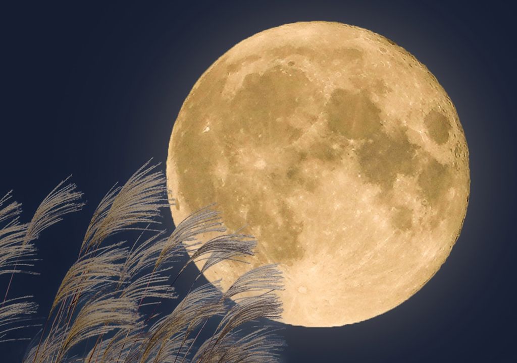 superluna luna llena