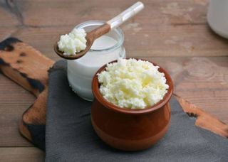 Queijo de kefir desenvolvido por pesquisadora da USP é alternativa com menos lactose e mais probióticos