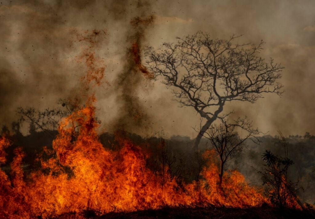 queimadas, incêndios florestais