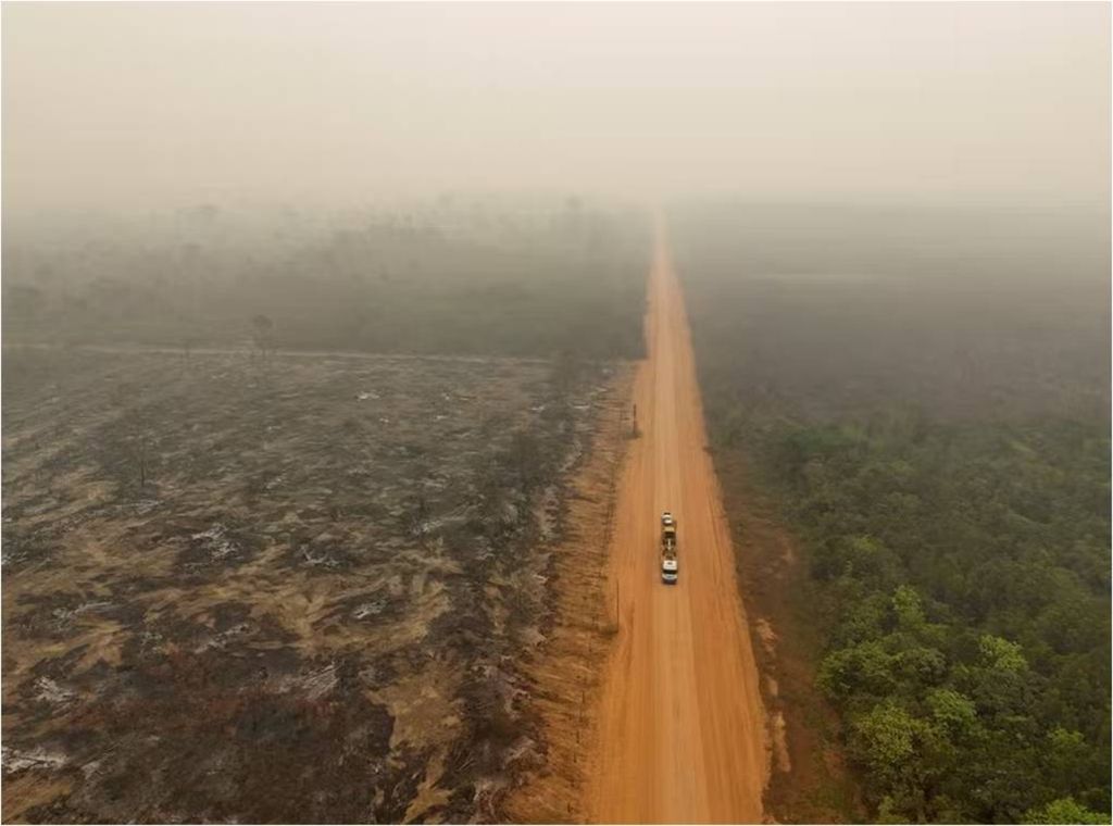 queimadas na Amazônia, 2024