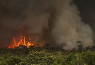 Queimadas atingiram 30 milhões de hectares no Brasil em 2024; 62% a mais que a média histórica