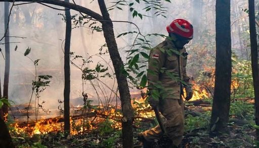 Queimadas no Amazonas geram fuma&ccedil;a densa e afetam mais de 20 cidades; veja imagens