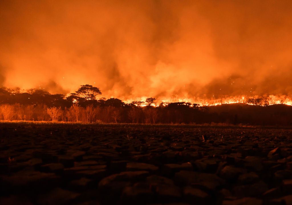 Los incendios que afectan al Pantanal podrían causar daños irreversibles en el bioma