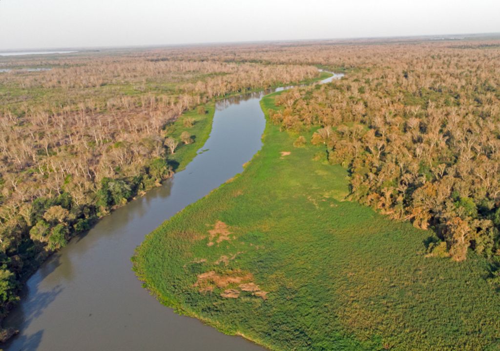 Queimadas que estão atingindo o Pantanal podem causar danos irreversíveis ao bioma