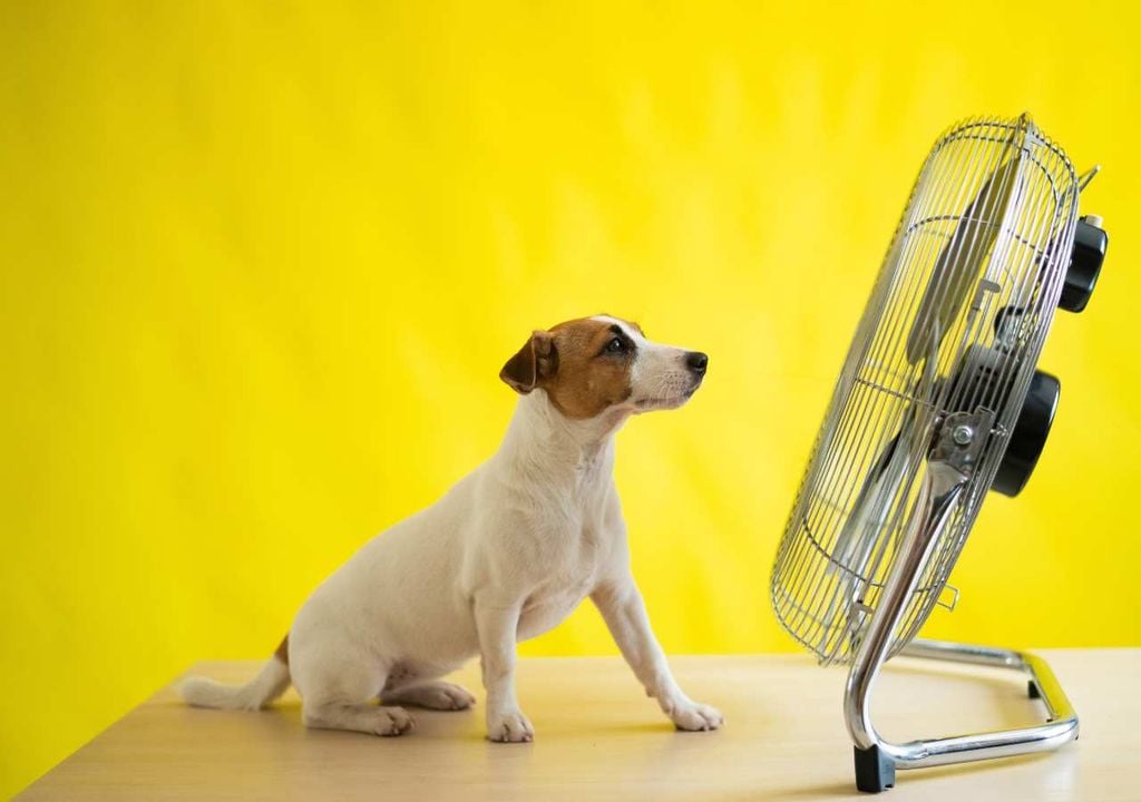 Ventilação Ventilação