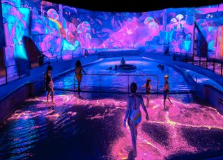 Quel parc français a été élu meilleur parc aquatique du monde ? 