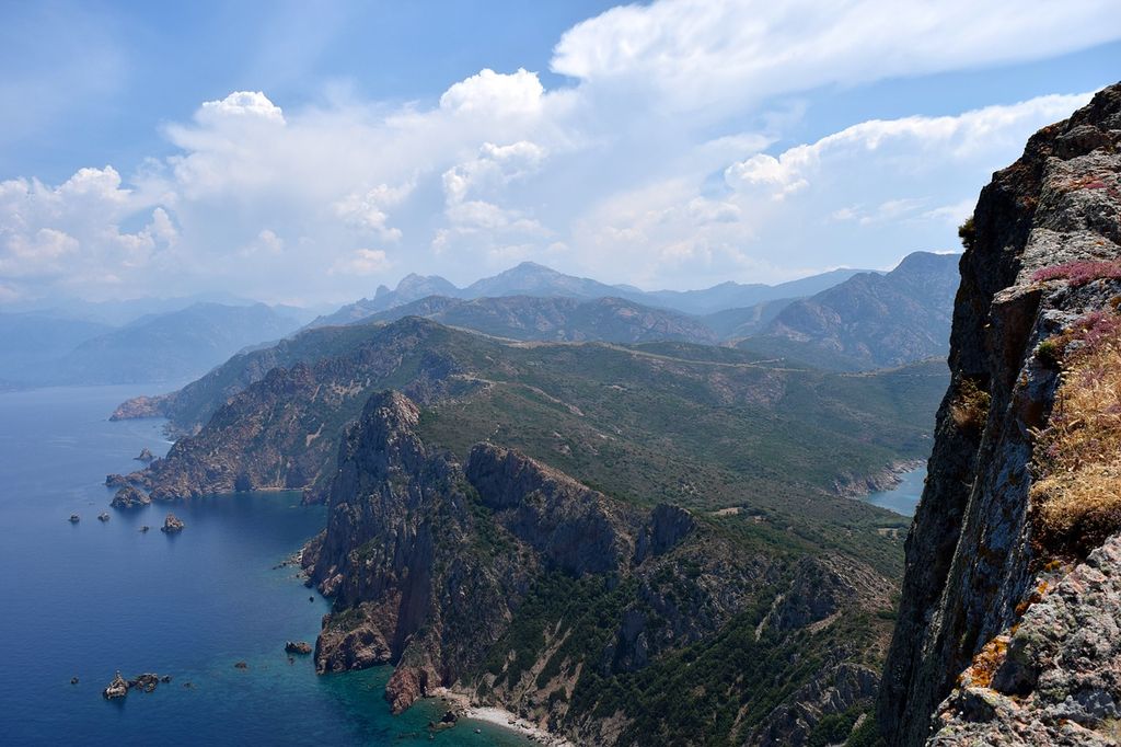 Corse Corse