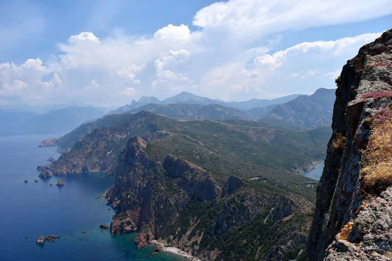 Corse Corse