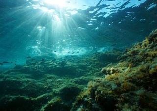 Quell'isola affiorante nel bel mezzo del Mediterraneo: i misteri del banco Skerki