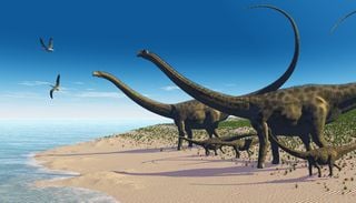 Quelle est cette nouvelle esp&egrave;ce de dinosaure d&eacute;couverte, encore plus grande que le diplodocus ?