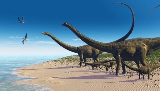 Quelle est cette nouvelle esp&egrave;ce de dinosaure d&eacute;couverte, encore plus grande que le diplodocus ?
