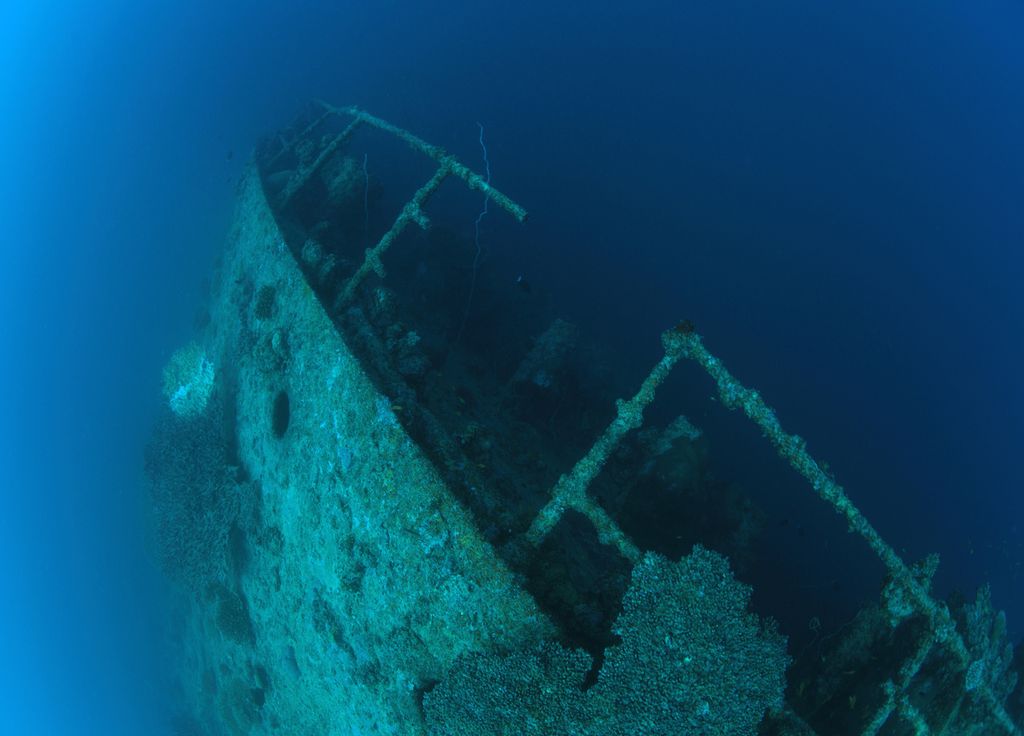 L'épave du Titanic se situe à proximité d'une zone abritant une grande biodiversité.