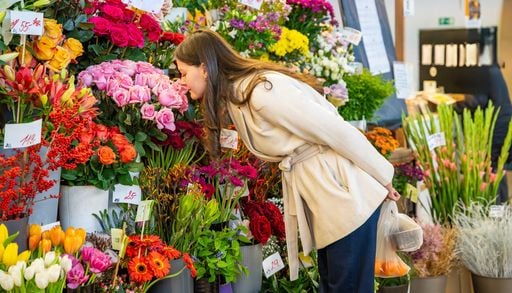 Quelle est la symbolique de ces fleurs ? Pour ne pas vous tromper en les offrant !