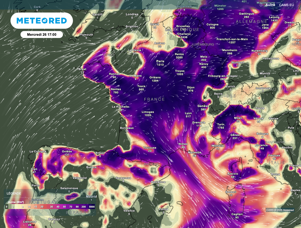Les grains dep ollens d'aulnes seront par exemple très présents comme ceux de noisetiers.