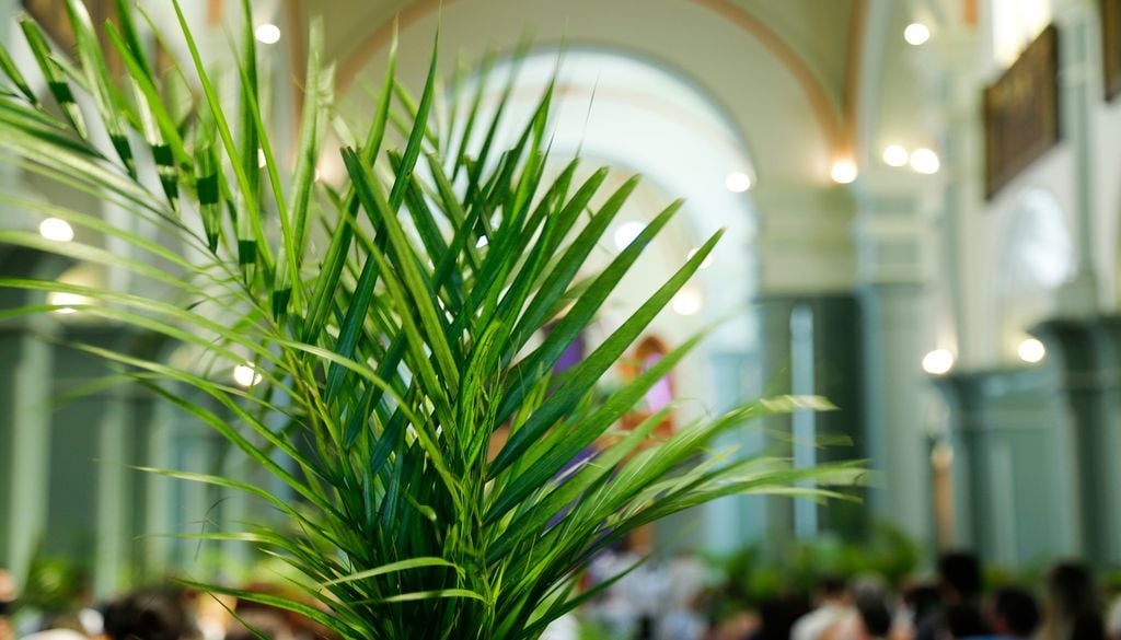 Quelle météo pour le dimanche des Rameaux en France ? vec Quelle météo pour le dimanche des Rameaux en France ?