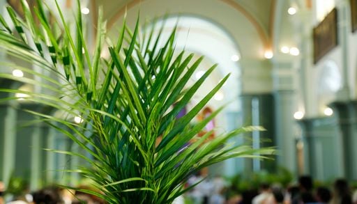 Quelle m&eacute;t&eacute;o en France pour le dimanche des Rameaux ? Vers une nouvelle offensive de l'hiver ? D&eacute;couvrez les pr&eacute;visions