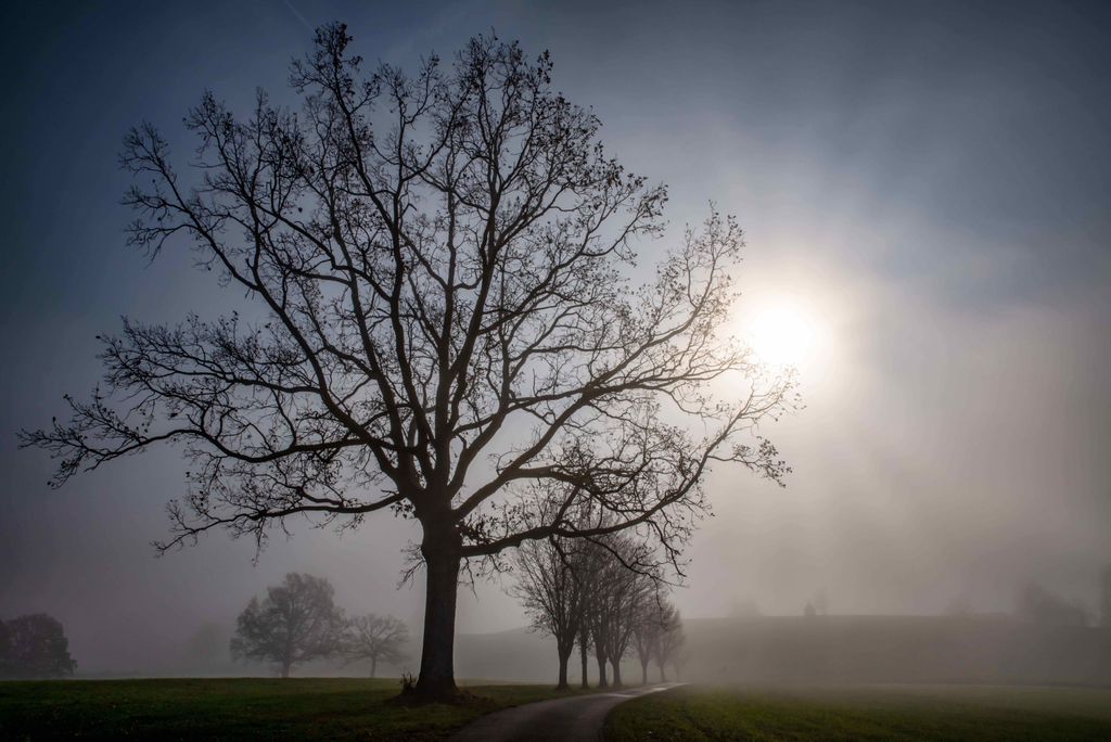 brume soleil brume soleil