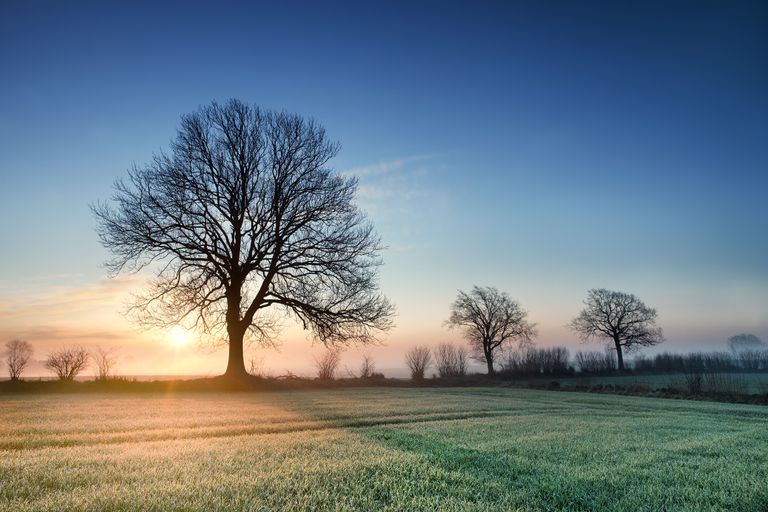 Quelle tendance météo pour le mois de mars en France ? Quelle tendance météo pour le mois de mars en France ?