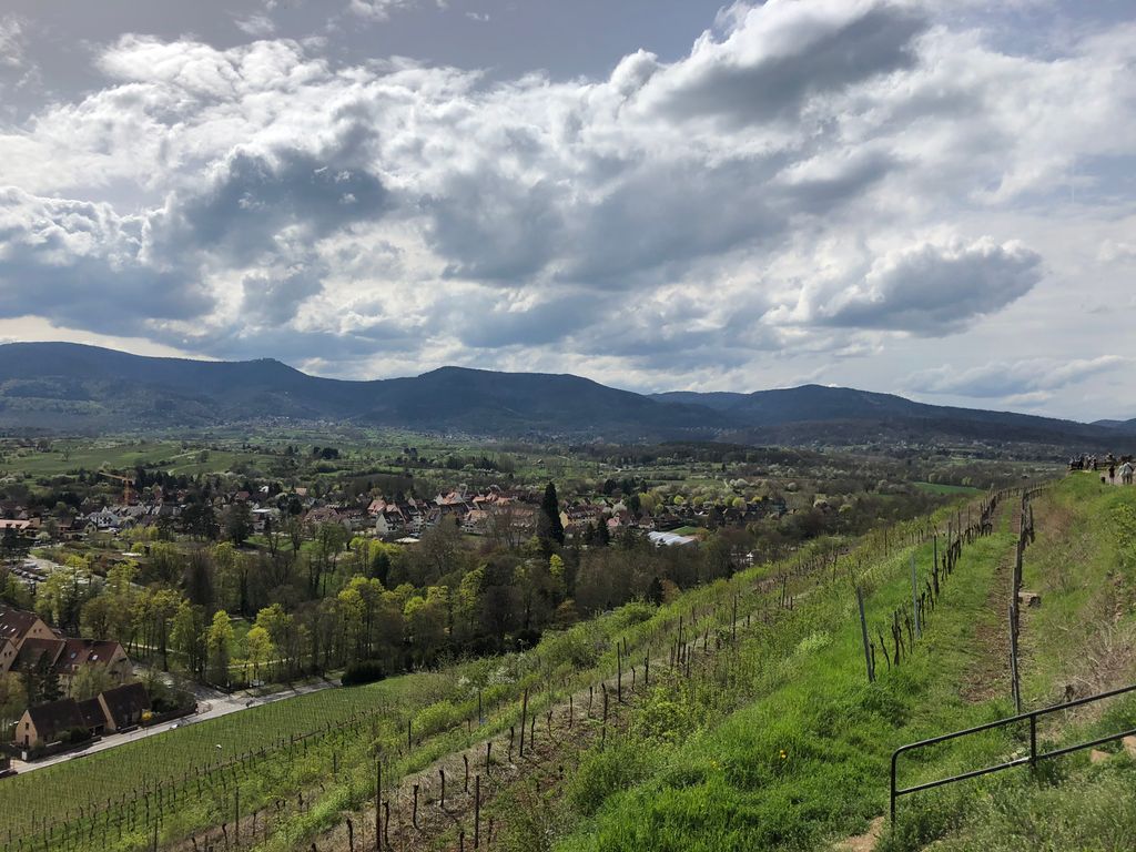vosges © clément meirone