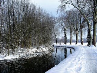 Quelle tendance pour le mois de décembre ?