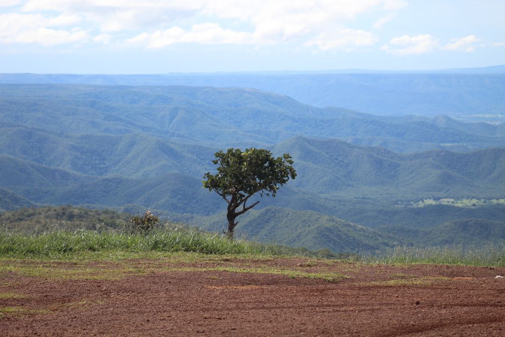 L'environnement préservé de Guimaraes. L'environnement préservé de Guimaraes.
